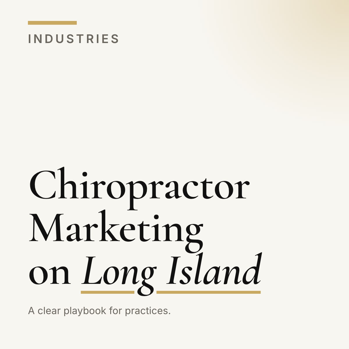 Journal cover reading Chiropractor Marketing on Long Island