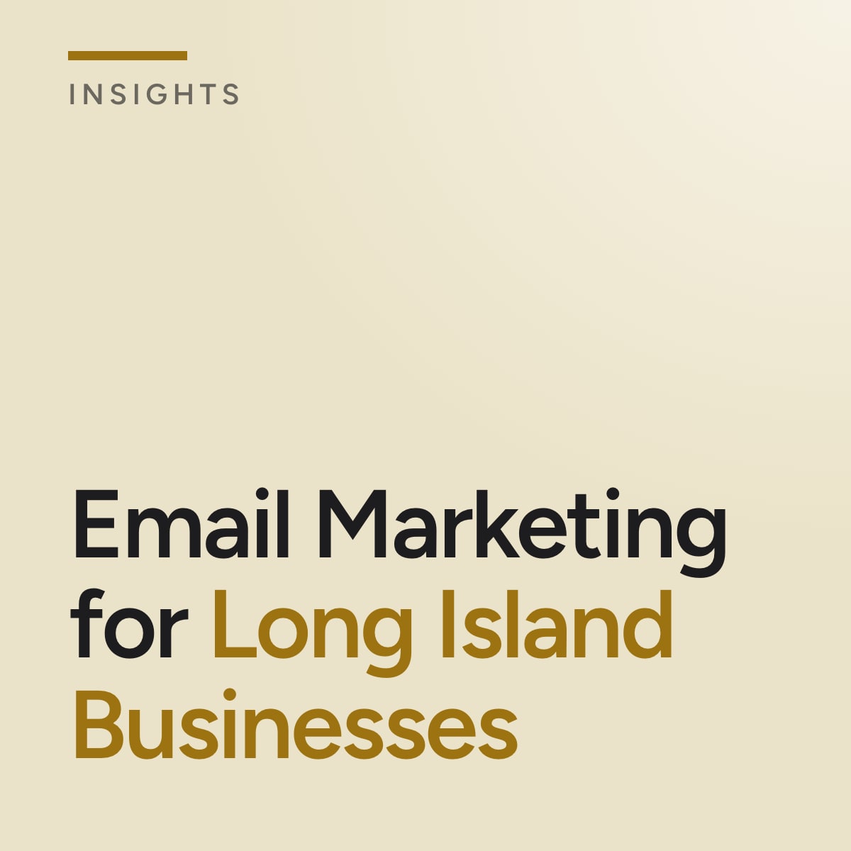 Journal cover reading Email Marketing for Long Island Businesses