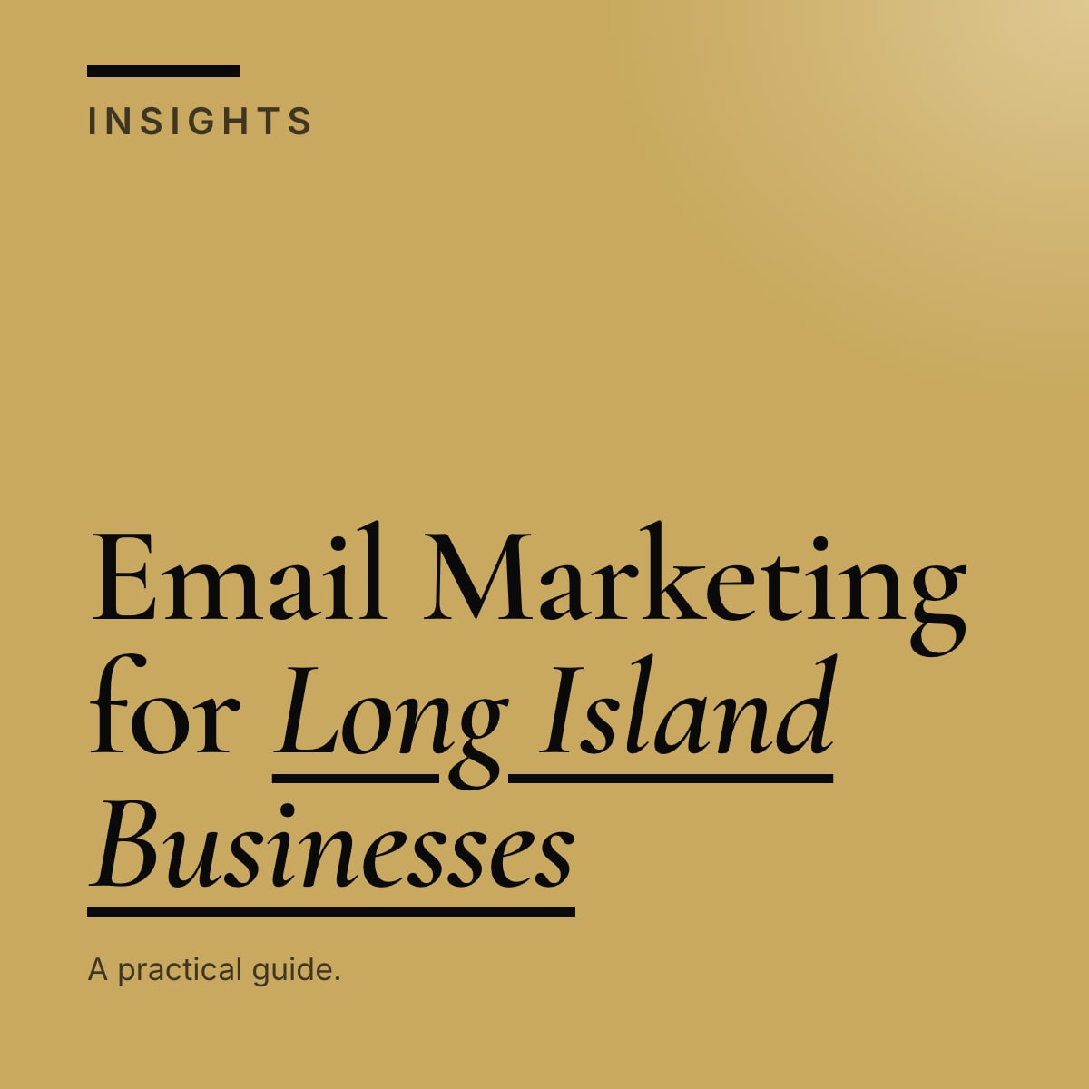 Journal cover reading Email Marketing for Long Island Businesses