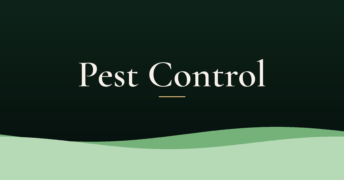 Pest Control Marketing on Long Island