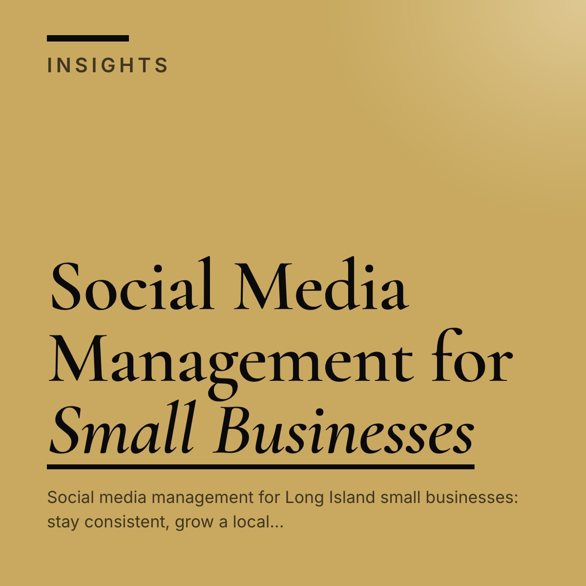 Journal cover reading Social Media Management for Small Businesses