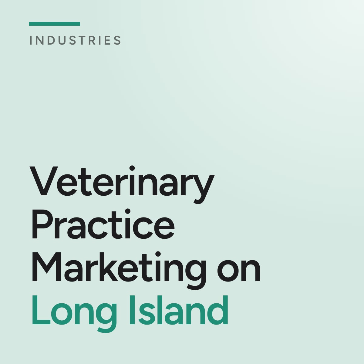 Journal cover reading Veterinary Practice Marketing on Long Island