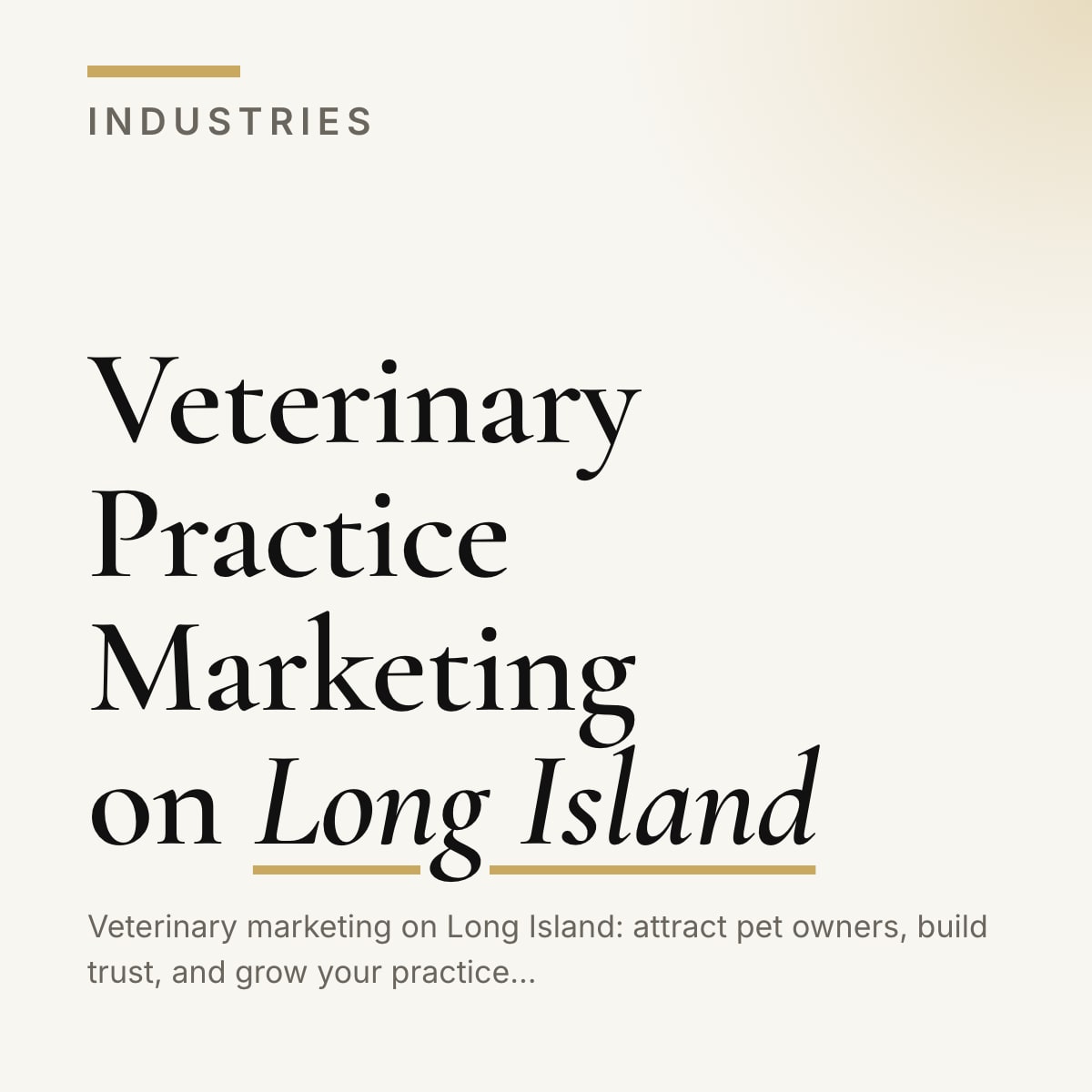 Journal cover reading Veterinary Practice Marketing on Long Island