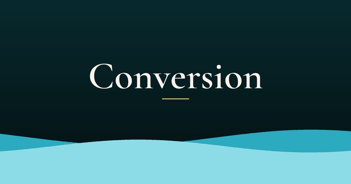 Your Website Is Your Best Salesperson: Conversion Basics