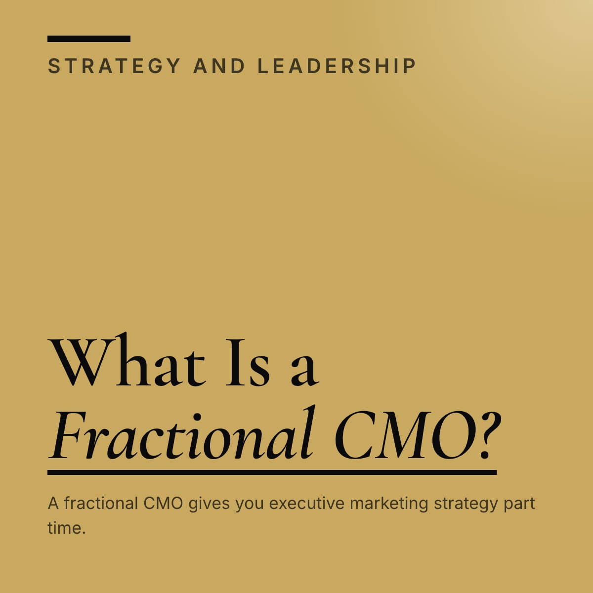 Journal cover reading What Is a Fractional CMO?